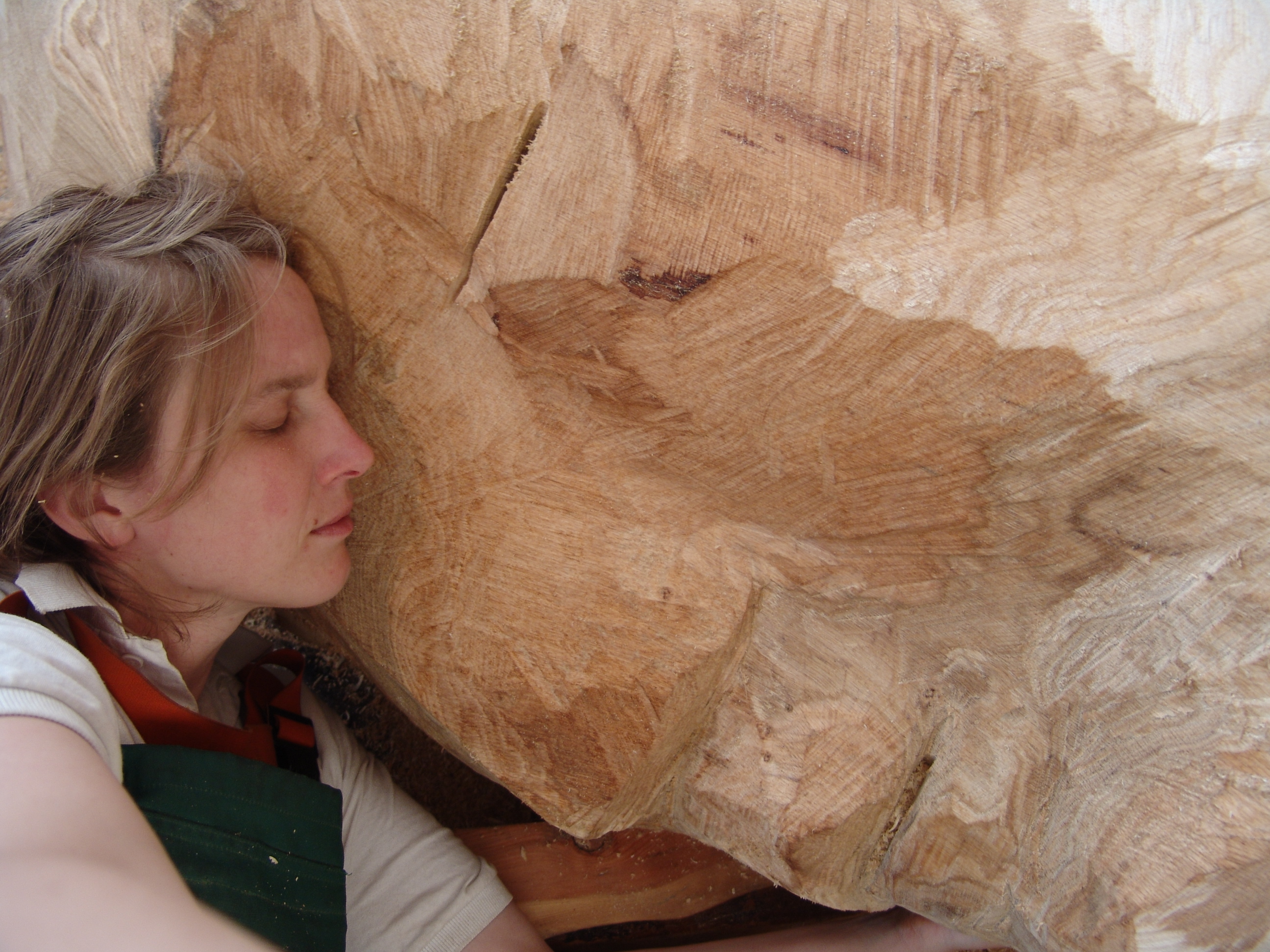 als hät der Mond die Erde geküsst, Detail, Eiche